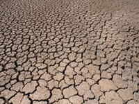 Drought