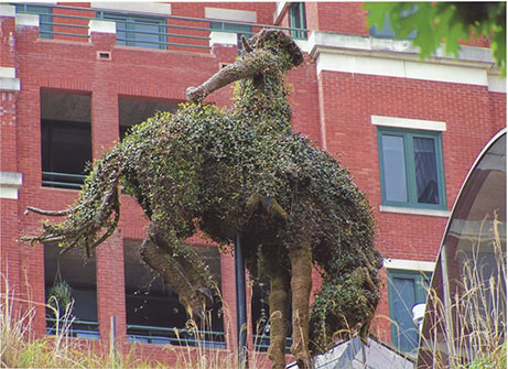 Bucking Horse Topiary, Reata Rooftop, 2005