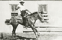 A cowboy riding a horse