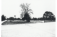 Arlington Cemetery