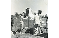 Birdville Cemetery (087-004-001)