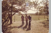 Peterson Cemetery, 1980 (090-062-032)