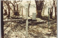 Absalom Chivers Cemetery, 1980 (090-088-032)