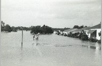 Fort Worth flood, 1949 (005-010-375)