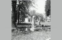 Oakwood Cemetery (088-007-021)