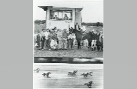 Horse Racing, Ross Downs