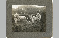 Buggy of Mary Greenwall, 1905 (087-005-011)