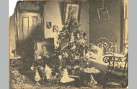 Christmas decorations (087-003-009)