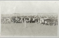 SMS Ranch photo album (007-058-050)