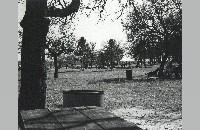 Chisholm Park, Hurst, 1982 (090-064-077)