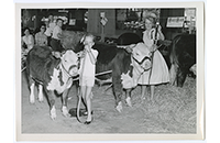 Girls showing calves at 4-H County Fair, 1940s-1950s (021-003-697)