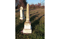 Louisa Brinson, Johnson Cemetery