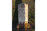 Little Johnson Brinson, Johnson Cemetery