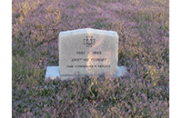 Confederate Memorial, Johnson Cemetery