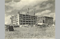 Montgomery Ward construction and opening, 1928 (005-072-029)