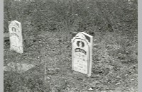 Tombstones at Harmon Cemetery, 1985 (090-103-029)