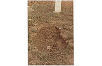 New Trinity Cemetery, Jane Ellison in Background (001)