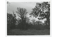 Ray-Manship Cemetery, 1983 (001)