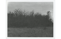 Ray-Manship Cemetery, 1983 (001)