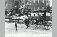 Horse and buggy (007-022-055)
