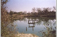 Shady Oaks Farm, 2003 (003-010-330)