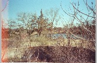 Shady Oaks Farm, Bass Pond drained (003-010-330)