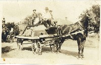 Grapevine Parade (015-043-525)