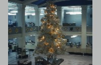 Christmas tree at First National Bank (006-014-302)