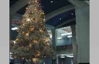 Christmas tree at First National Bank (006-014-302)