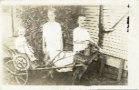 Shaw family (019-012-677)