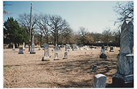 General View of Older Part of Tye Cemetery (FIC-011-998)