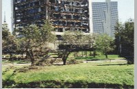 Fort Worth tornado damage, 2000 (006-028-419)