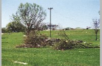 Fort Worth tornado damage, 2000 (006-028-419)