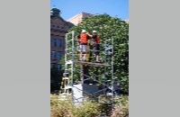 Tandy statue removal (015-057-438)