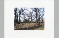 Harrison Cemetery, Arlington, 2004 (004-019-287)