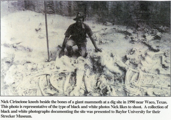 Nick Cirincione kneels besides bones of giant mammoth at dig site in Waco Texas 1990