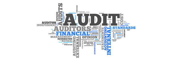 Internal Audit Auditor logo