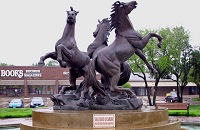Image of Arlington city 