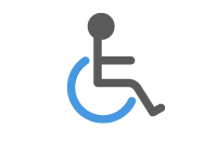 Voters with Special Needs icon