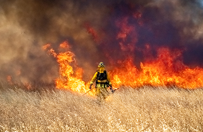 Image of Outdoor Burning