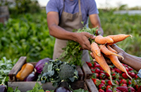 Vegetables 