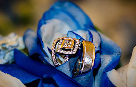 Rose and rings