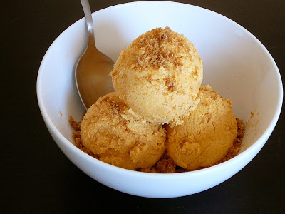 Light Pumpkin Pie Frozen Yogurt