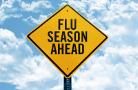 Flu Graphic