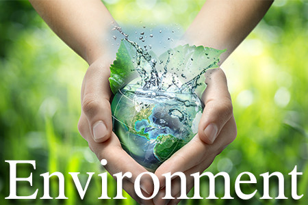 Environment
