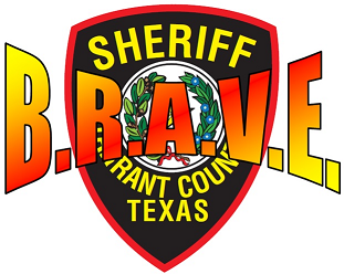 BRAVE Logo