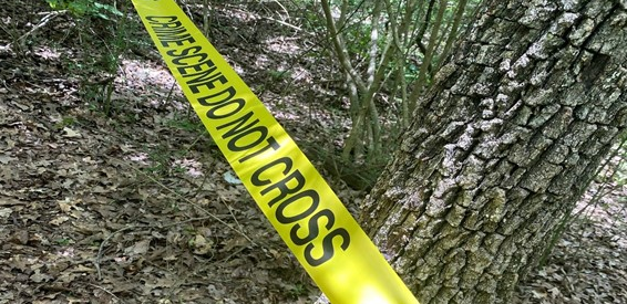 Image of a field and tree with a Crime Scene Do Not Cross banner across it