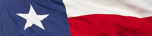 Texas FLag