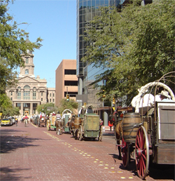 Fort Wort Cowboy parade