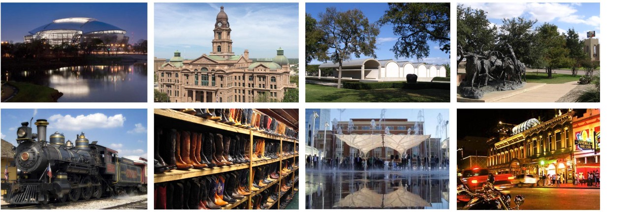A Variety of Images representing Tarrant County